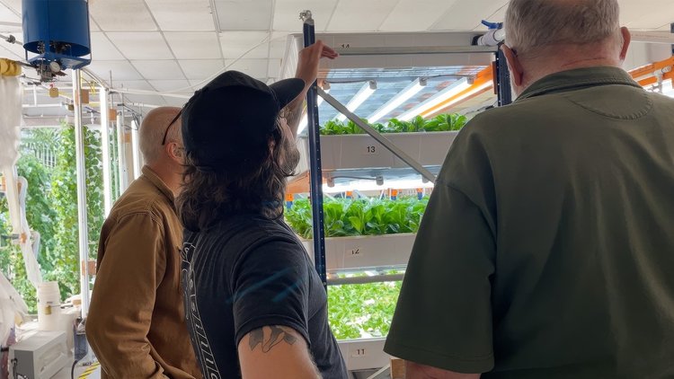 The Sustainable Magic of Aquaponics: Growing Cafecito's Greens
